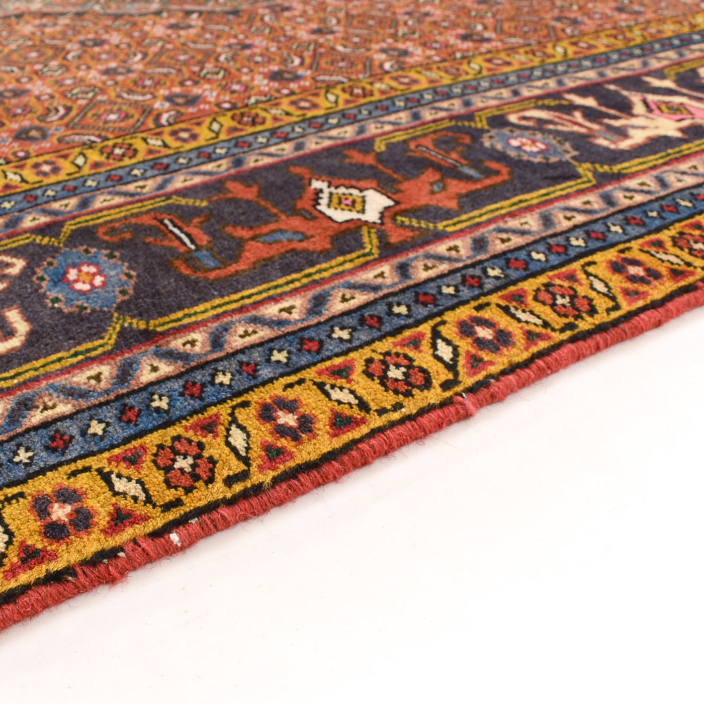 Ardabil Mattan 288x197cm - Persisk matta