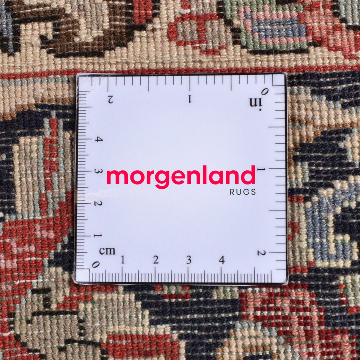 Persisk matta - Bijar - 316 x 213 cm - sand