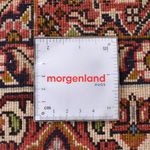 Runner Persisk matta - Bijar - 405 x 207 cm - rost