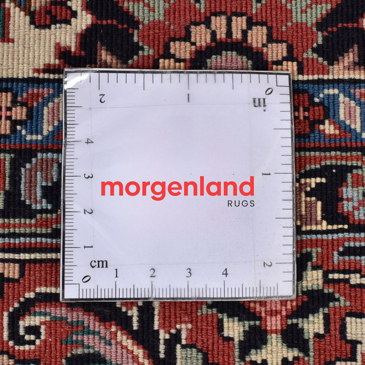 Persisk matta - Bijar - 249 x 172 cm - rost