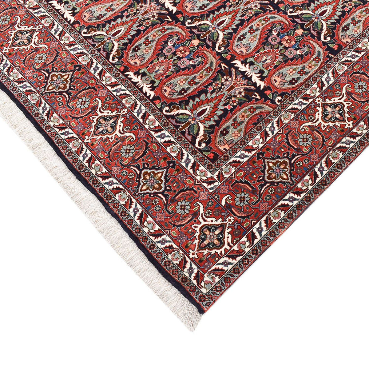 Persisk matta - Bijar - 248 x 208 cm - rost