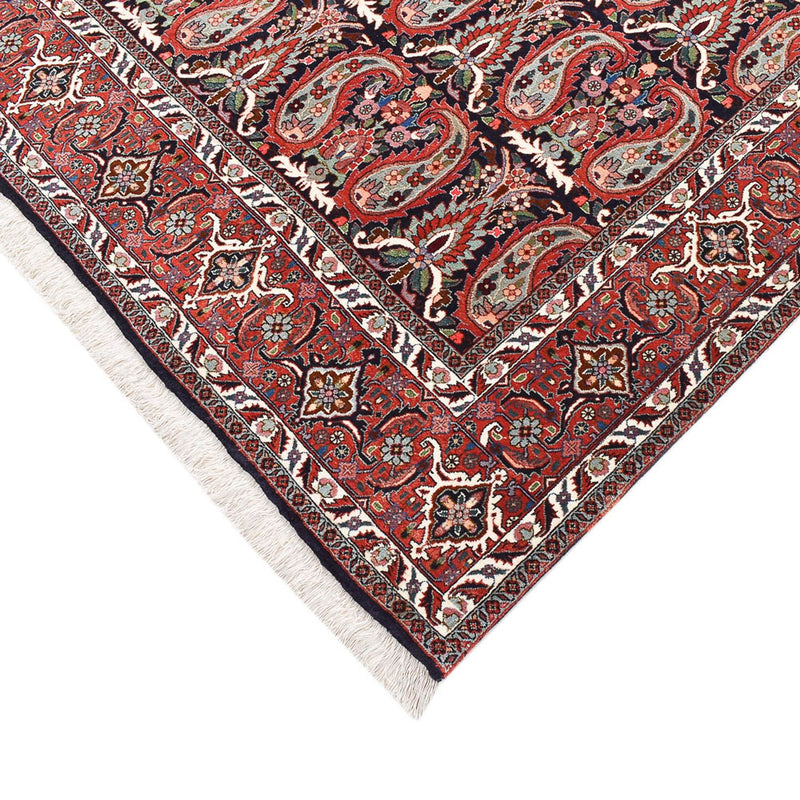 Persisk matta - Bijar - 248 x 208 cm - rost