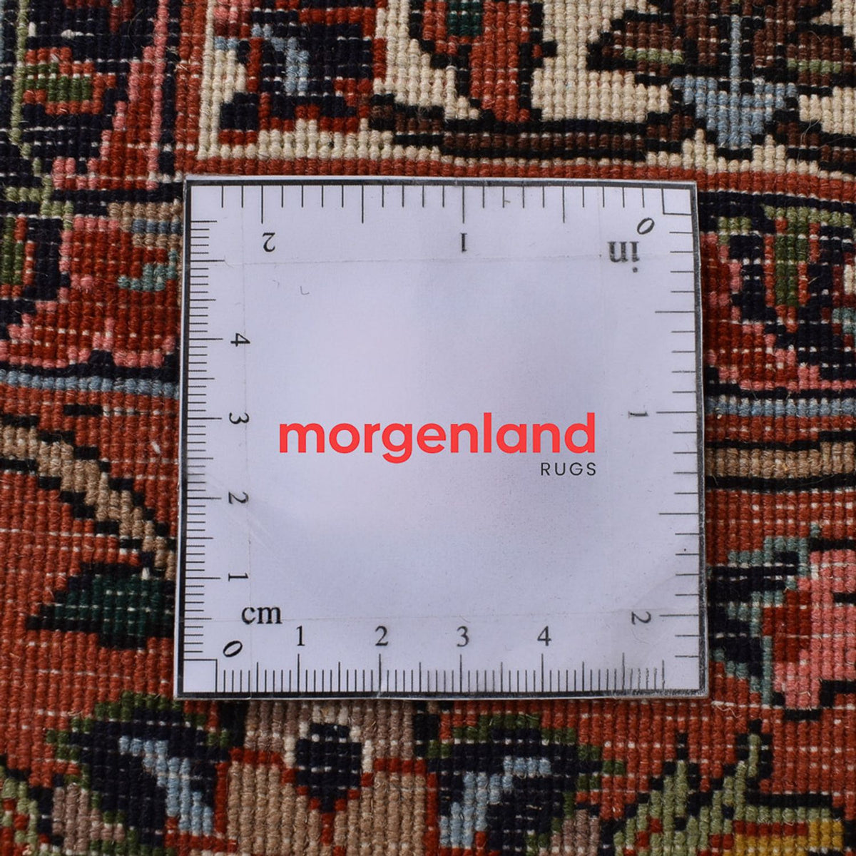 Persisk matta - Bijar - 298 x 195 cm - rost