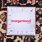 Persisk matta - Bijar - 300 x 198 cm - rost