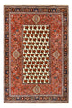 Kashkuli Mattan 260x172cm - Persisk matta
