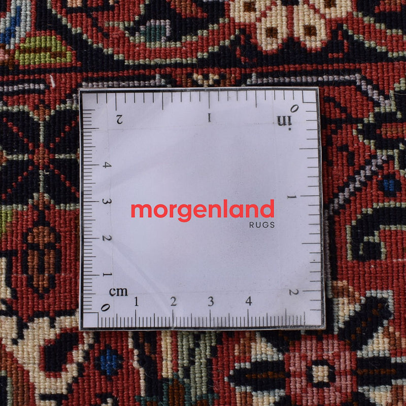 Persisk matta - Bijar - 344 x 255 cm - rost