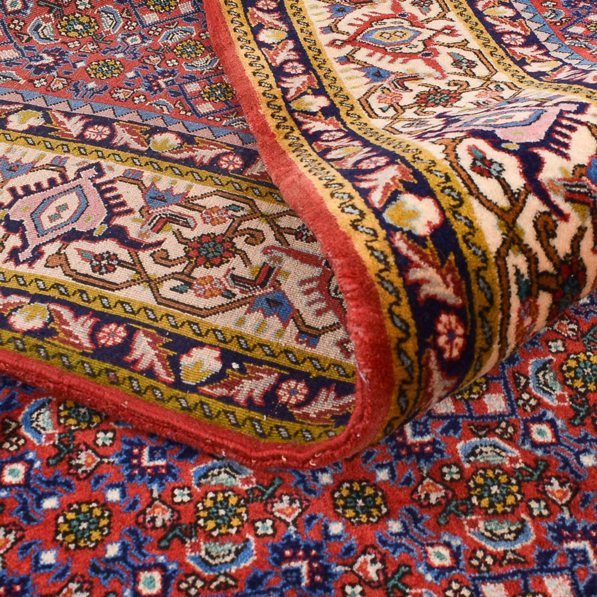 Persisk matta - Bijar - 315 x 214 cm - rost