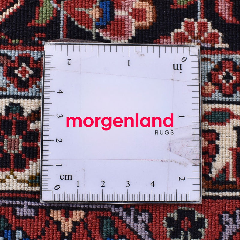 Persisk matta - Bijar - 279 x 205 cm - rost