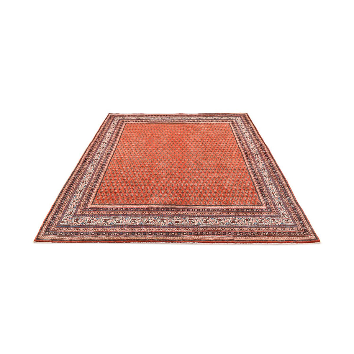 Persisk matta - Classic - 261 x 228 cm - orange