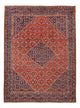 Kashan Mattan 385x283cm - Persisk matta