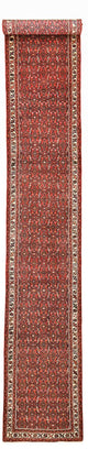 Hosseinabad Mattan 592x76cm - Persisk matta