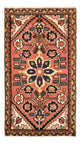 Hamadan Mattan 100x54cm - Persisk matta