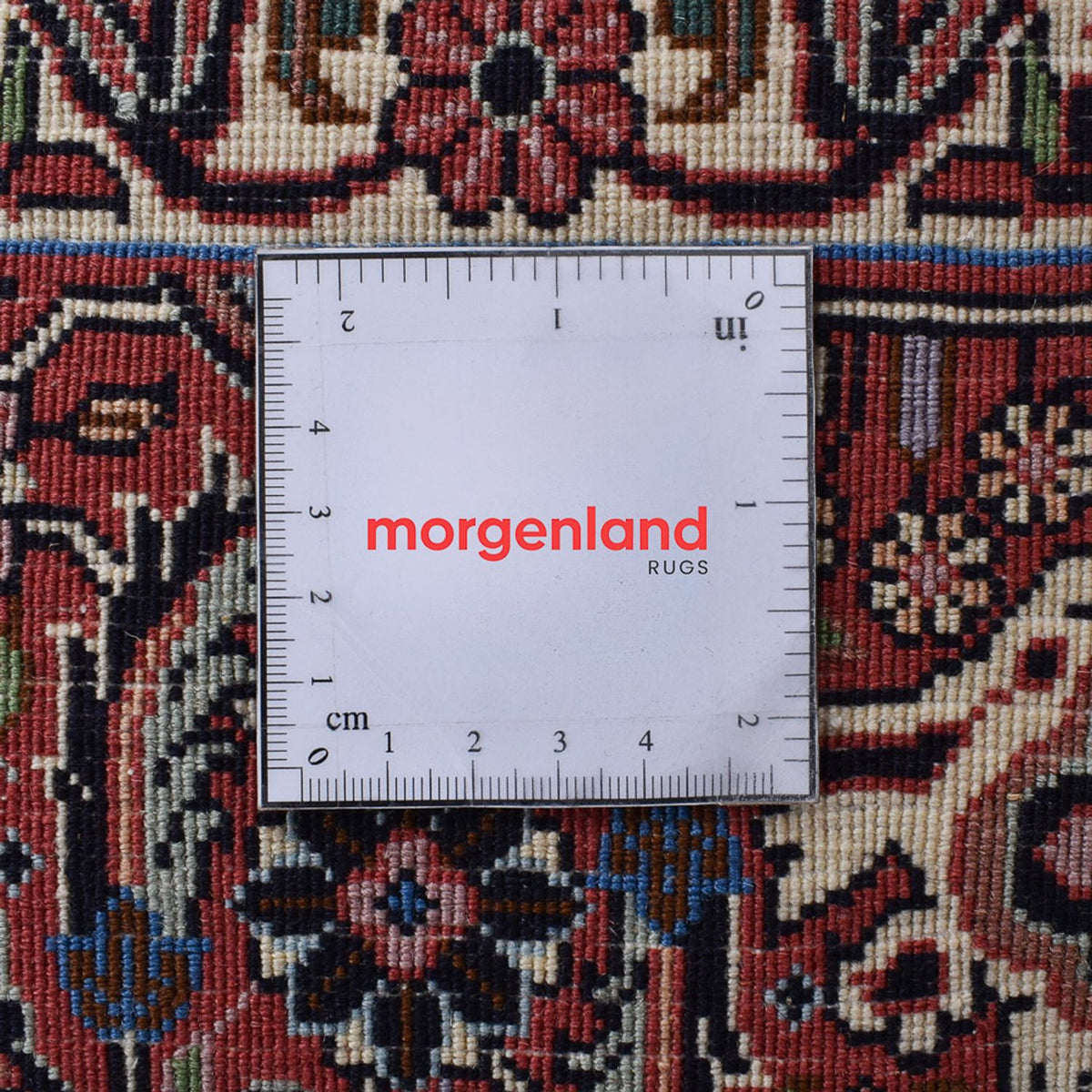 Persisk matta - Bijar - 305 x 205 cm - rost