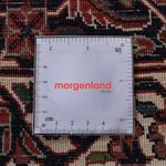 Persisk matta - Bijar - 300 x 203 cm - rost