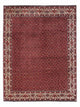 Bidjar - Takab Mattan 331x254cm - Persisk matta