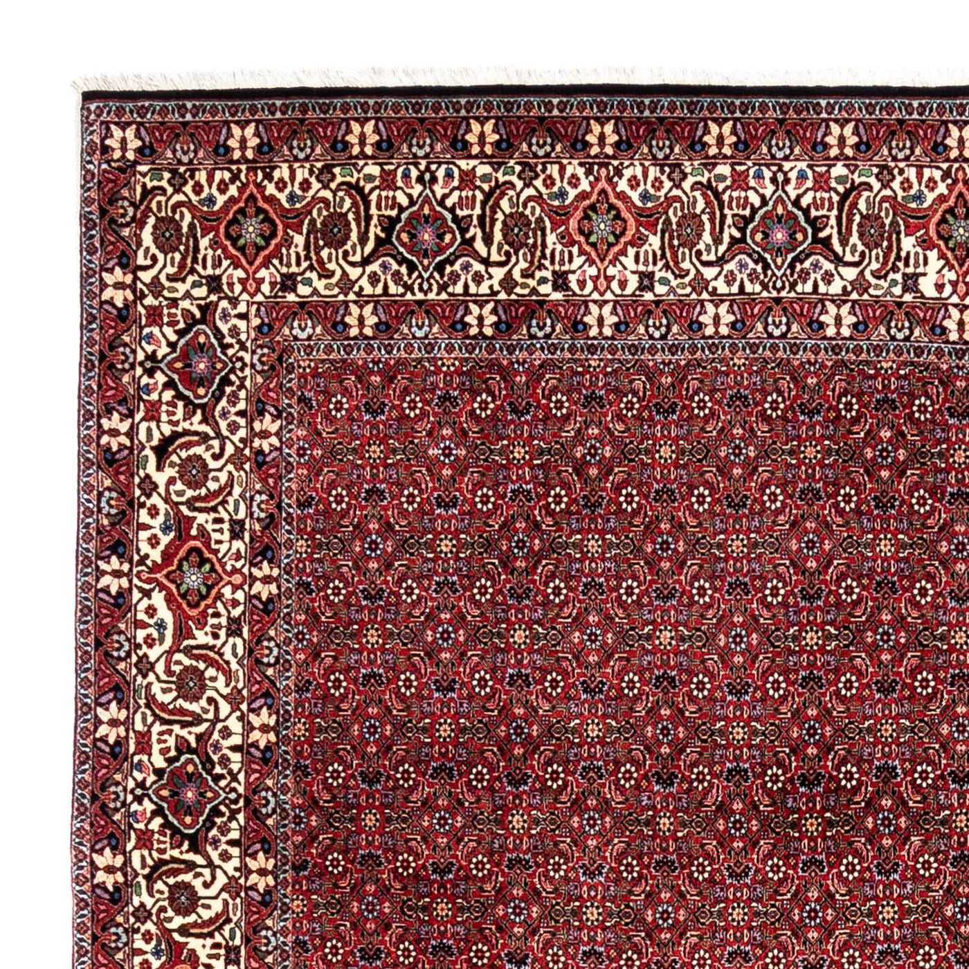 Bidjar - Takab Mattan 331x254cm - Persisk matta