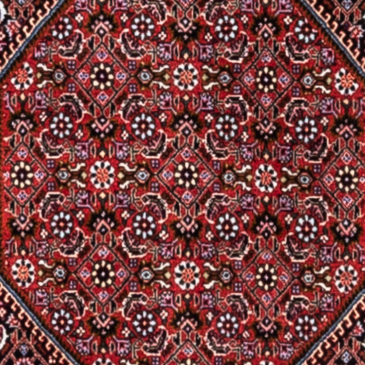 Persisk matta - Bijar - Royal - 318 x 200 cm - röd