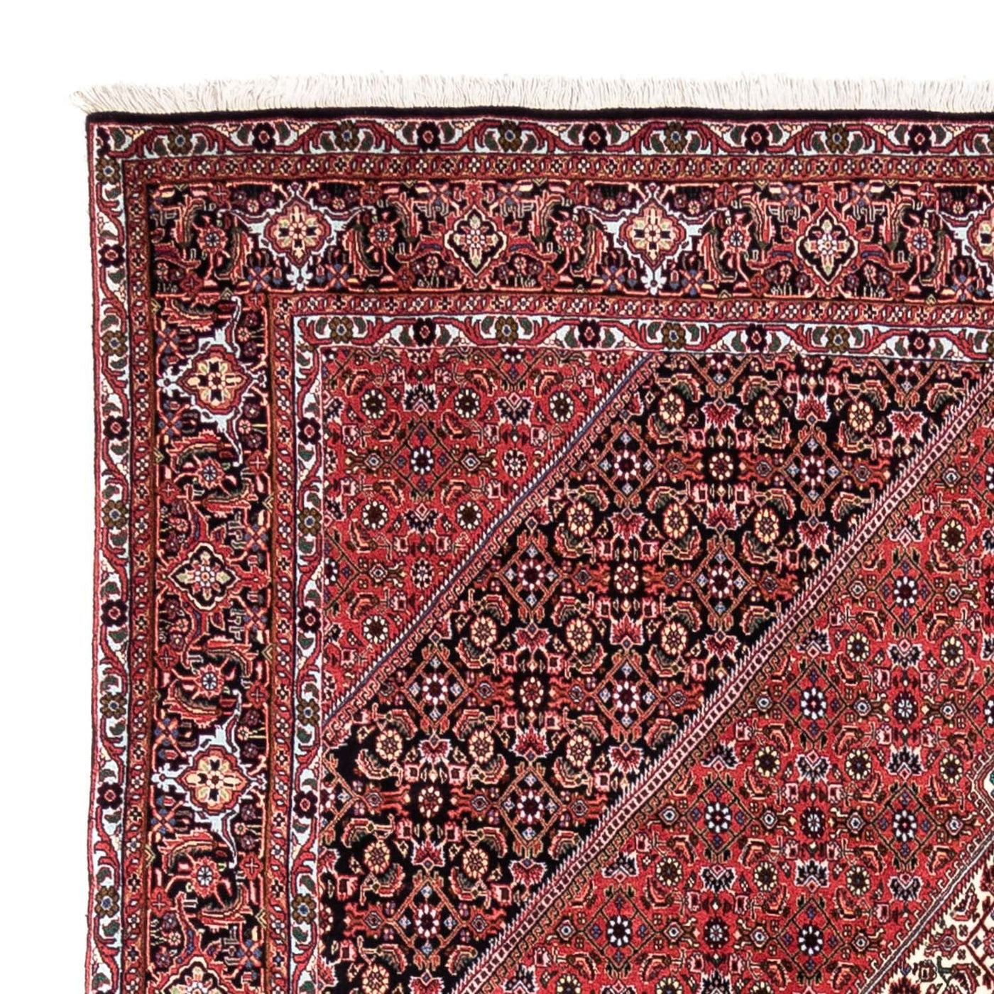 Bidjar - Takab Mattan 300x200cm - Persisk matta