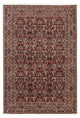 Persisk matta - Bijar - 248 x 170 cm - brun