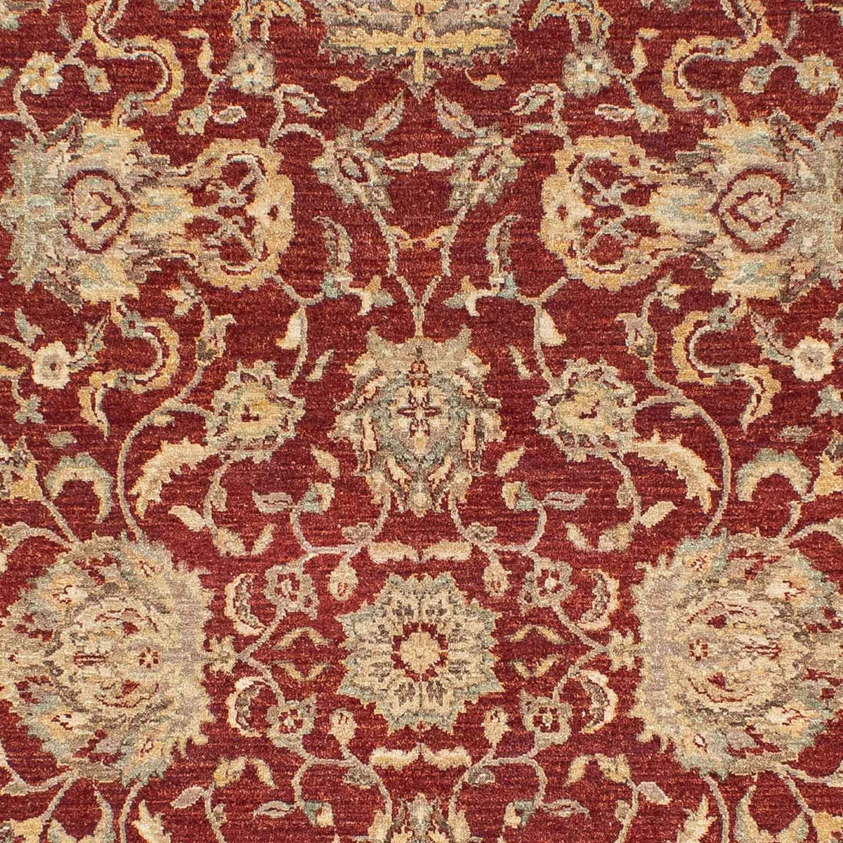 Ziegler Carpet - 269 x 177 cm - mörkröd