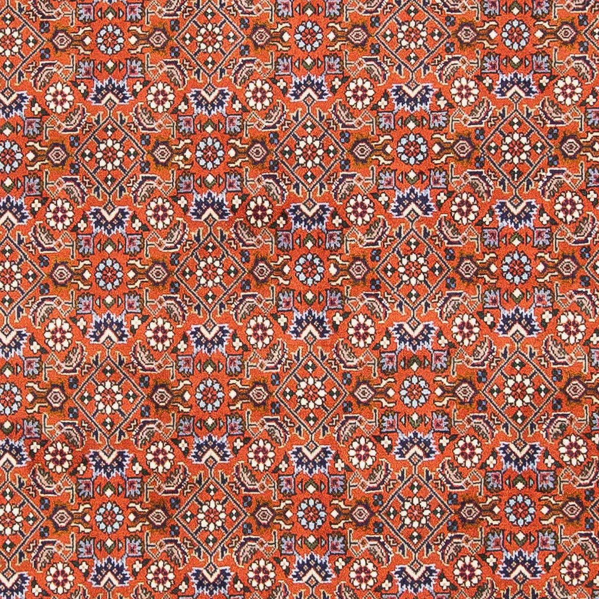 Persisk matta - Bijar - 160 x 110 cm - orange