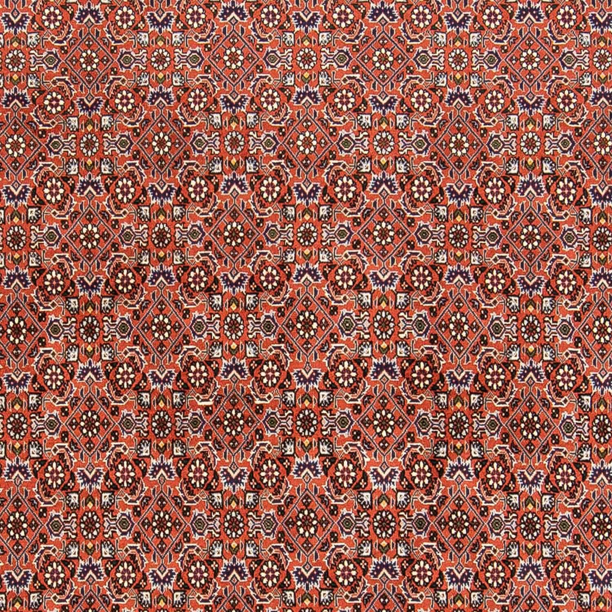 Persisk matta - Bijar - 230 x 168 cm - rost