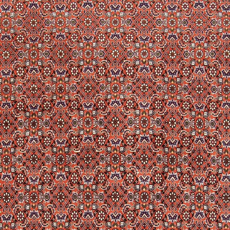 Persisk matta - Bijar - 230 x 168 cm - rost