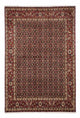 Hosseinabad Mattan 250x170cm - Persisk matta