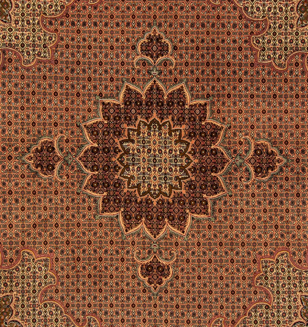 Persisk matta - Tabriz kvadrat  - 206 x 206 cm - brun