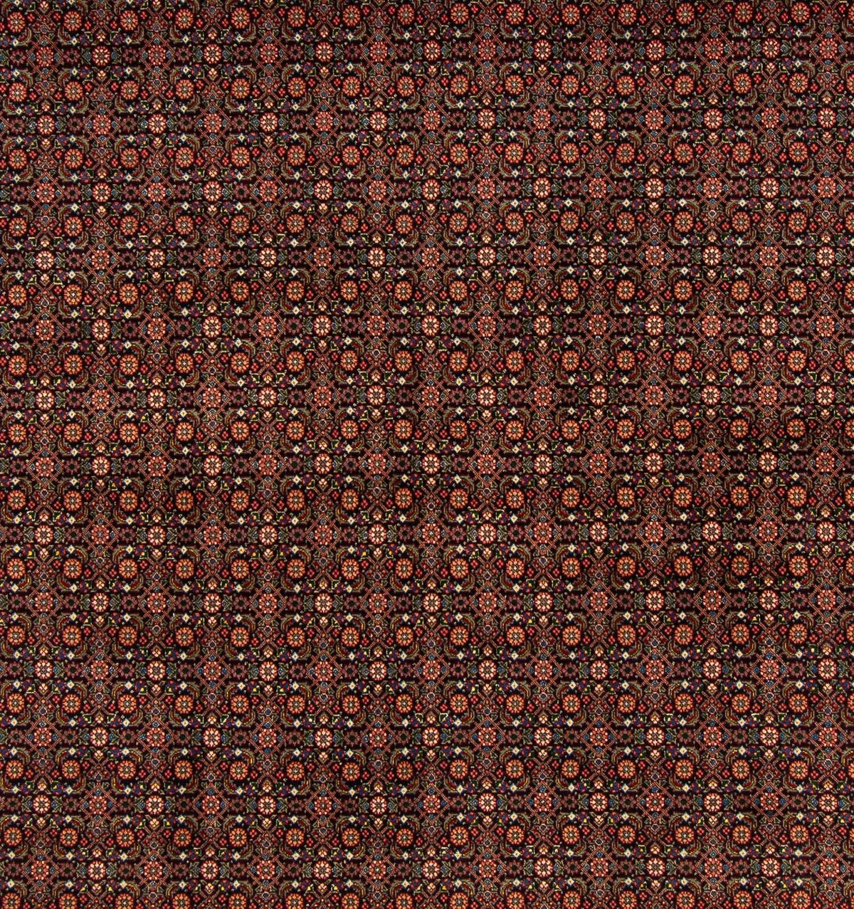 Persisk matta - Tabriz kvadrat  - 200 x 195 cm - mörkblå