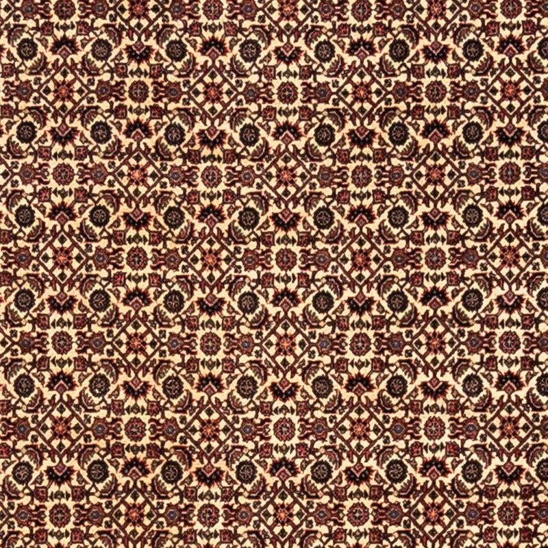 Persisk matta - Bijar - Royal - 302 x 208 cm - beige