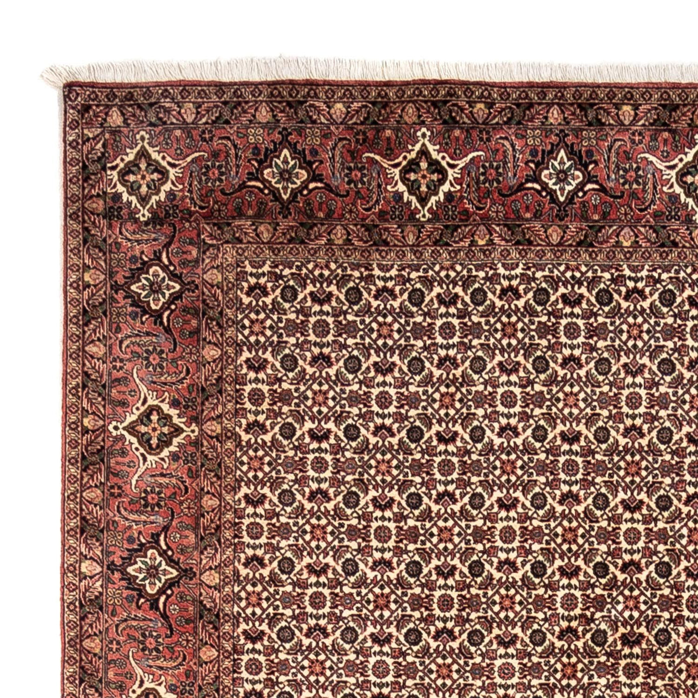 Bidjar - Takab Mattan 302x208cm - Persisk matta