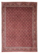 Bidjar Mattan 246x350cm - Persisk matta