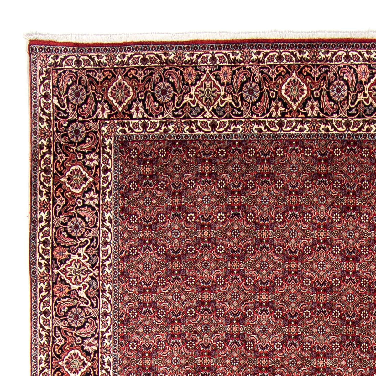Bidjar Mattan 246x350cm - Persisk matta