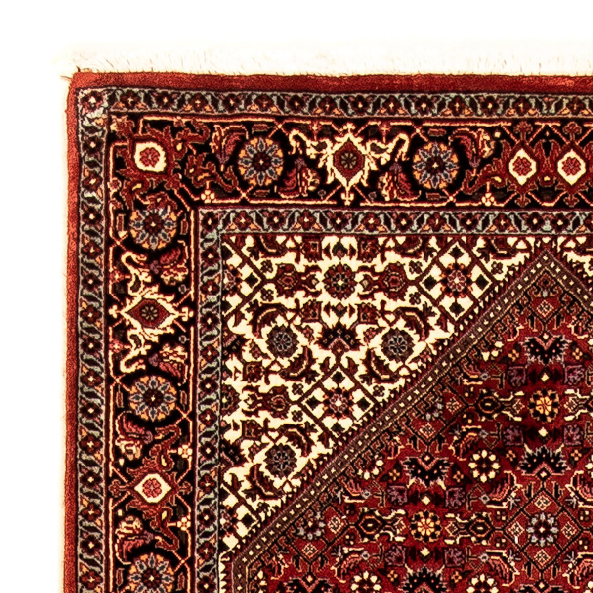 Runner Persisk matta - Bijar - 303 x 84 cm - flerfärgad