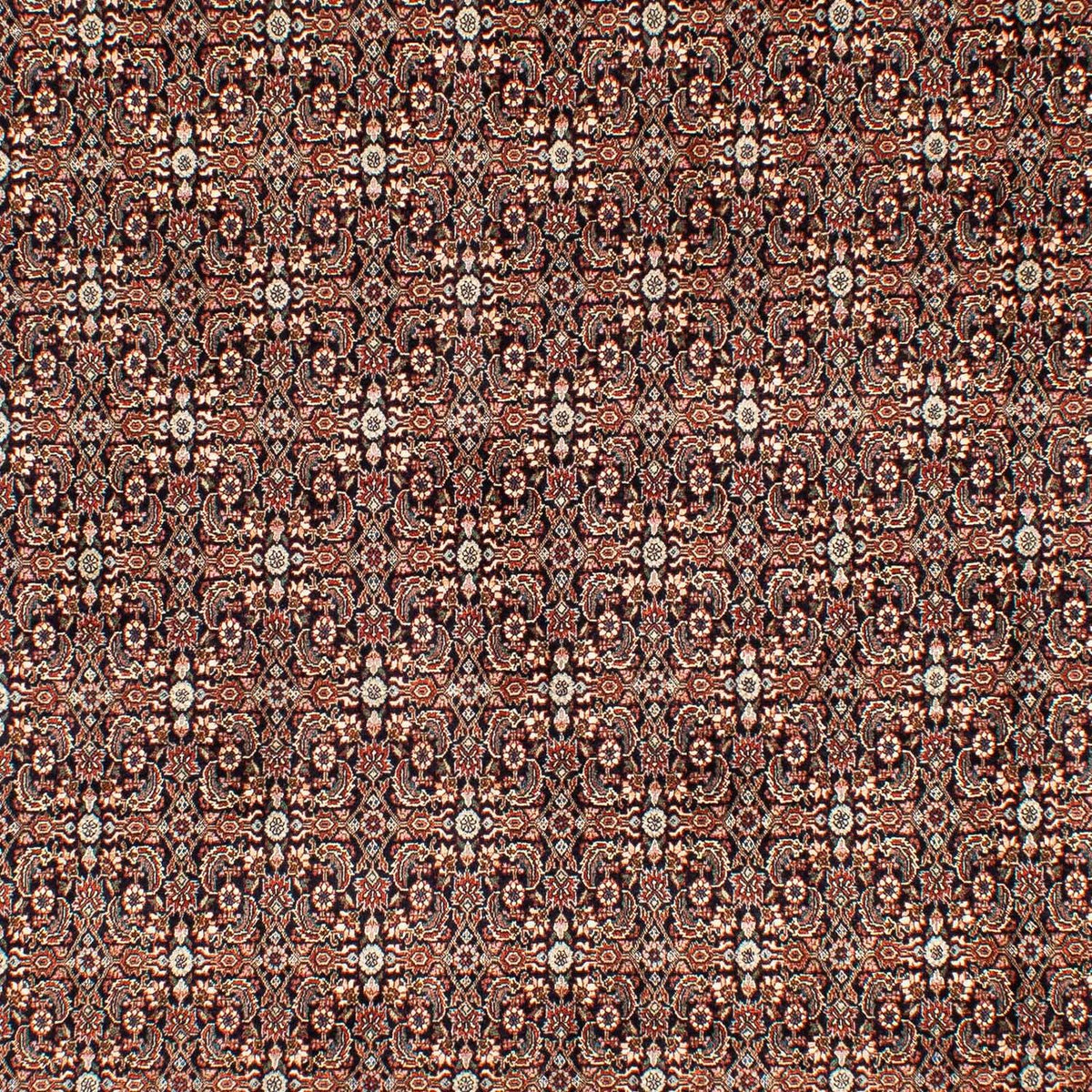 Persisk matta - Bijar - 300 x 204 cm - flerfärgad