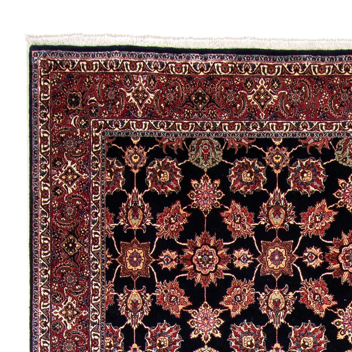 Persisk matta - Bijar - 350 x 255 cm - mörkblå