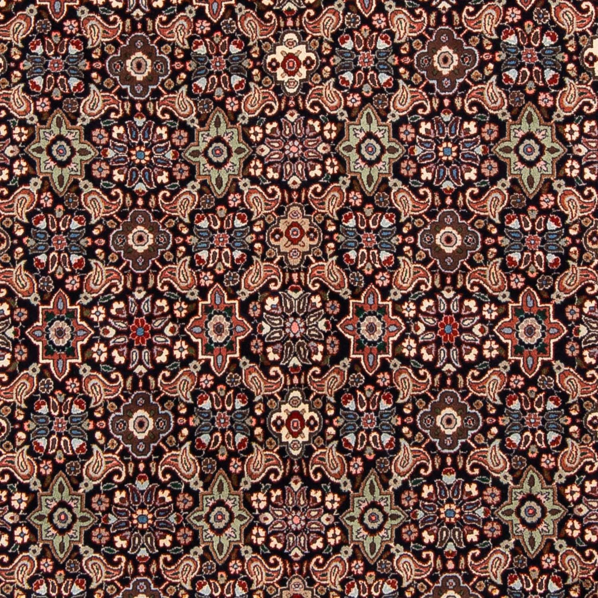 Persisk matta - Bijar - 248 x 168 cm - ljusbrun