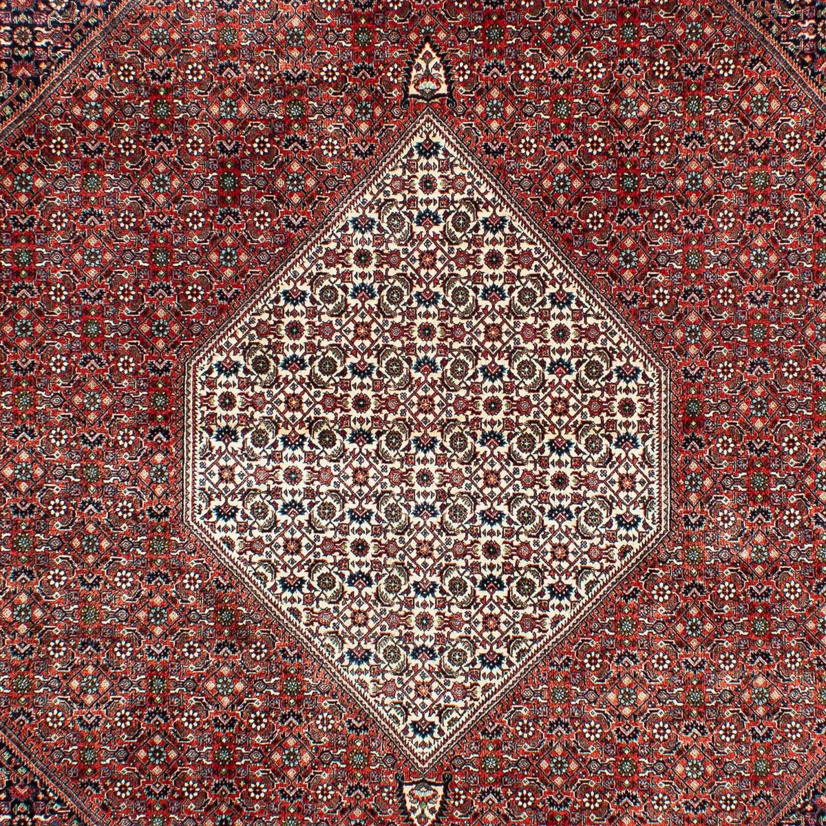 Persisk matta - Bijar - 301 x 208 cm - rost