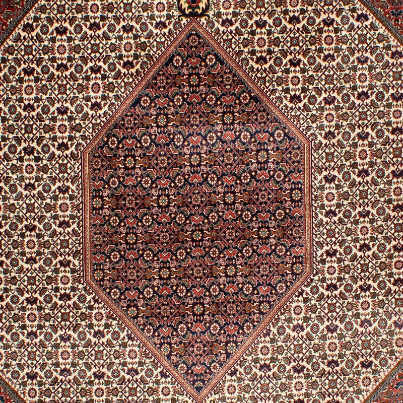 Persisk matta - Bijar - 311 x 208 cm - beige