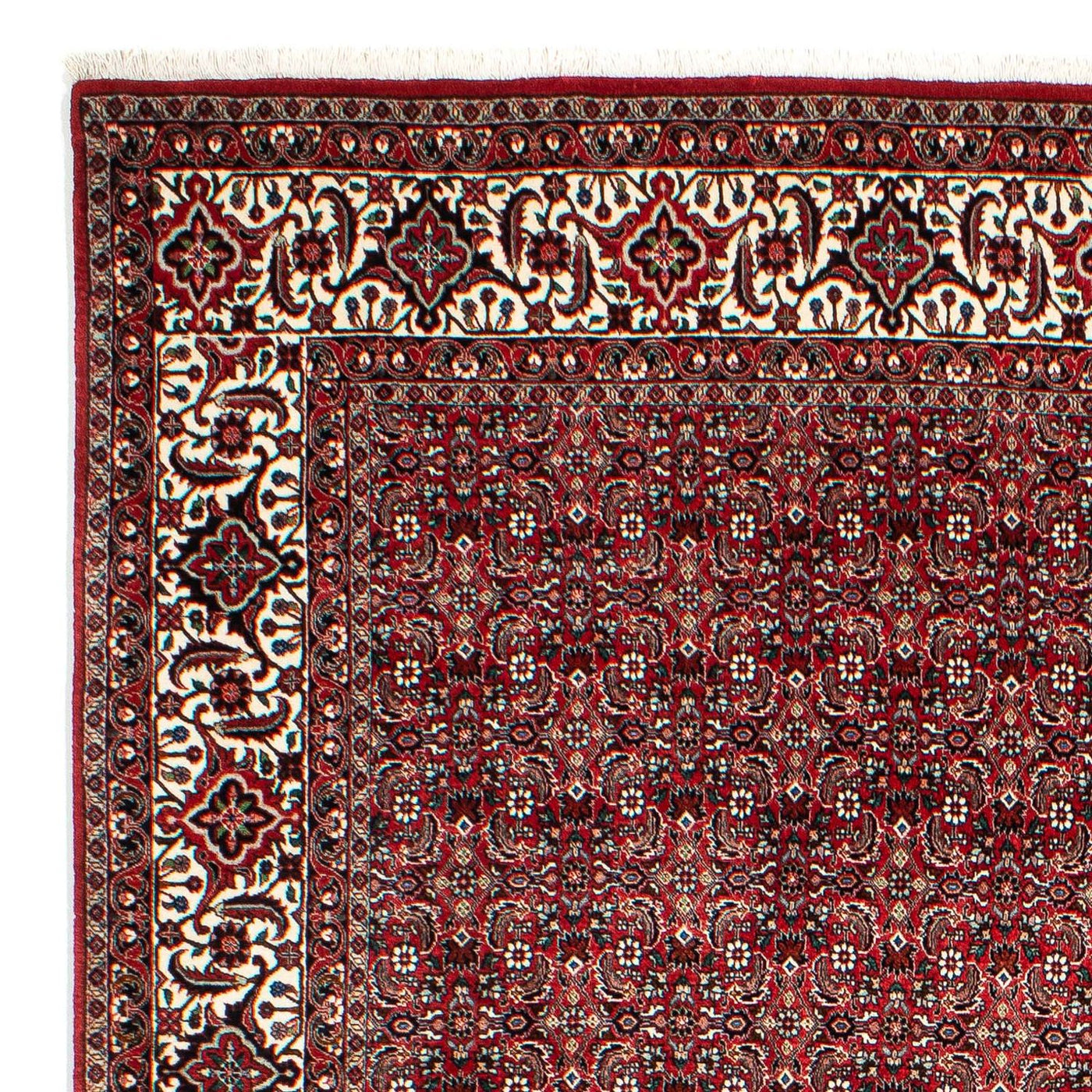 Bidjar Mattan 309x209cm - Persisk matta