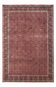 Bidjar - Takab Mattan 306x204cm - Persisk matta