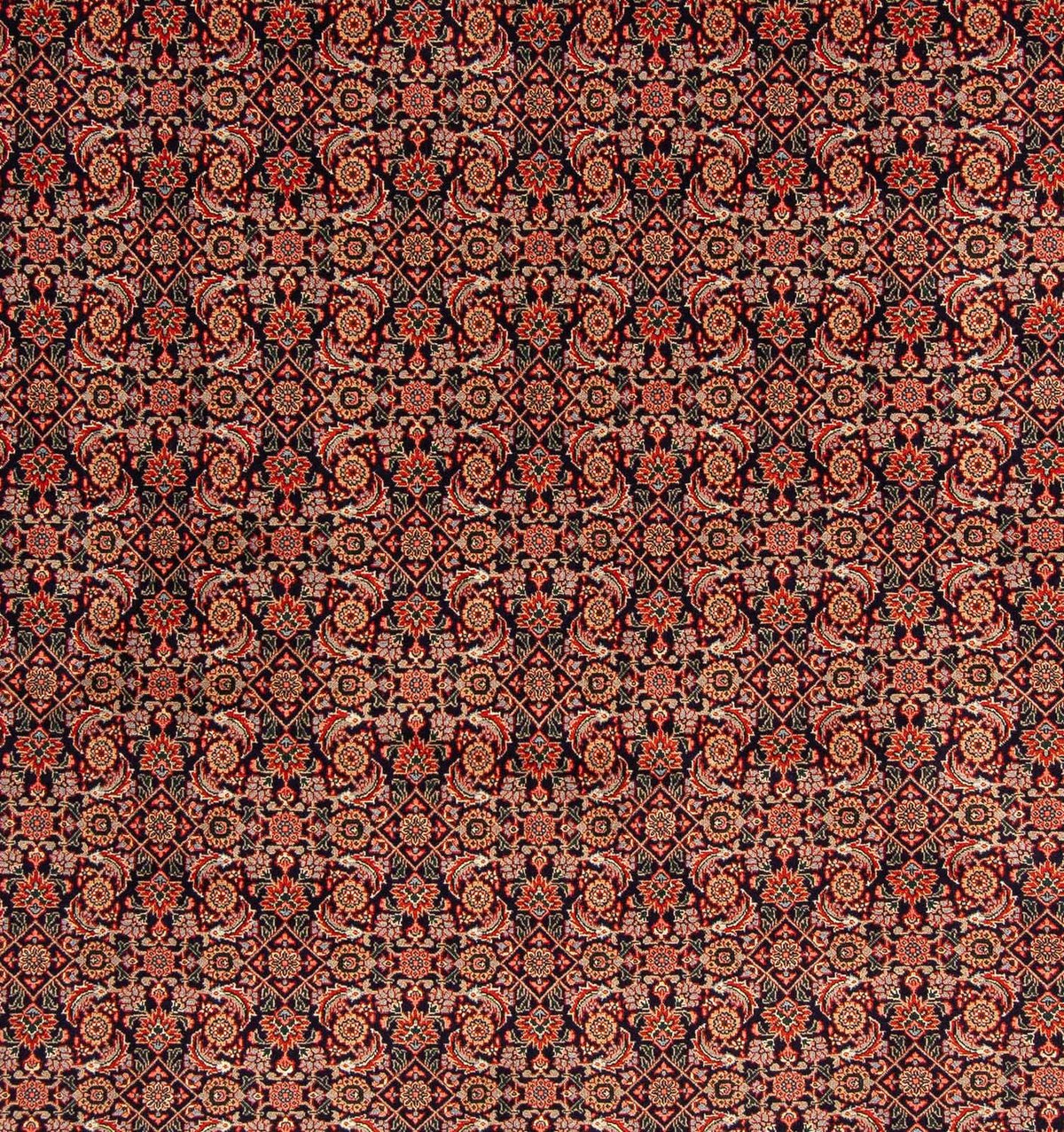 Persisk matta - Tabriz kvadrat  - 210 x 201 cm - mörkblå