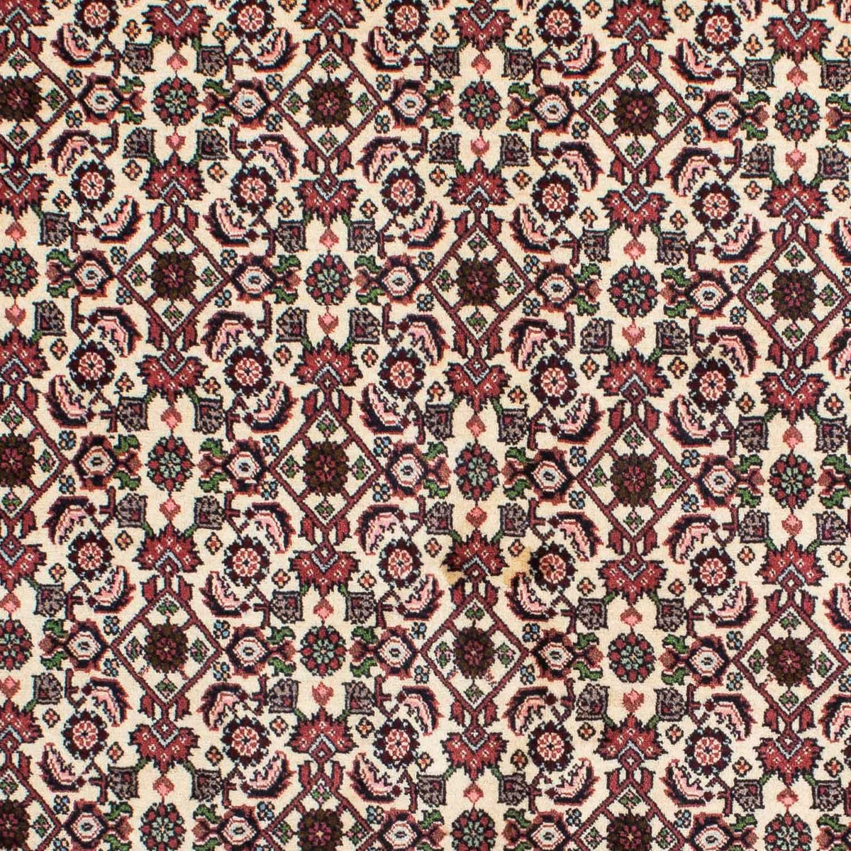 Persisk matta - Bijar - 215 x 142 cm - beige