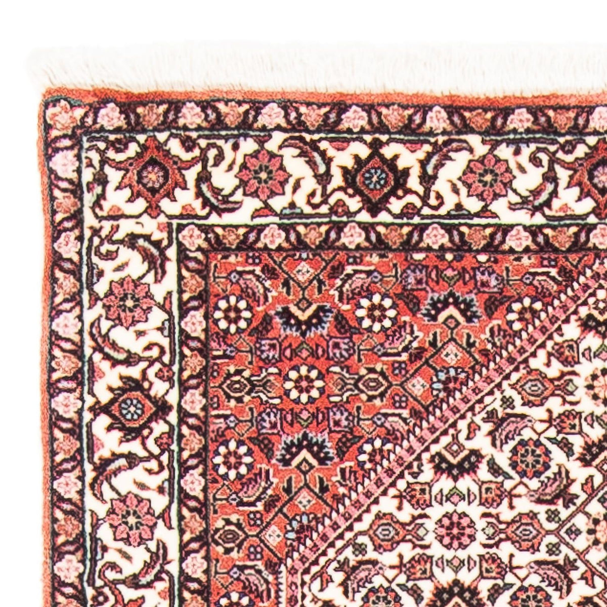 Persisk matta - Bijar - 151 x 79 cm - beige