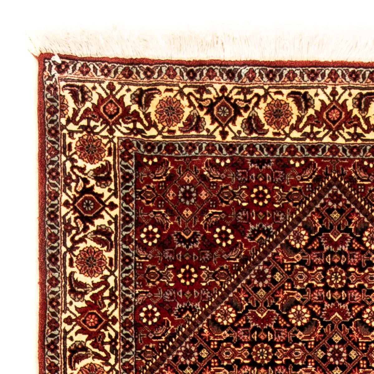 Runner Persisk matta - Bijar - 307 x 84 cm - flerfärgad