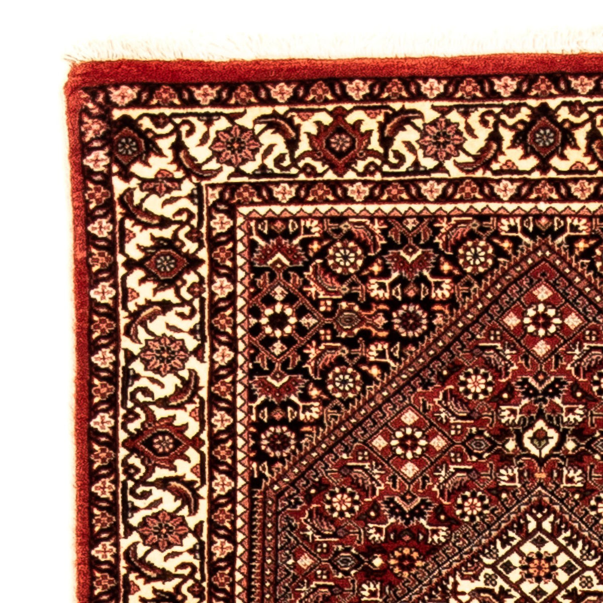 Runner Persisk matta - Bijar - 307 x 73 cm - flerfärgad