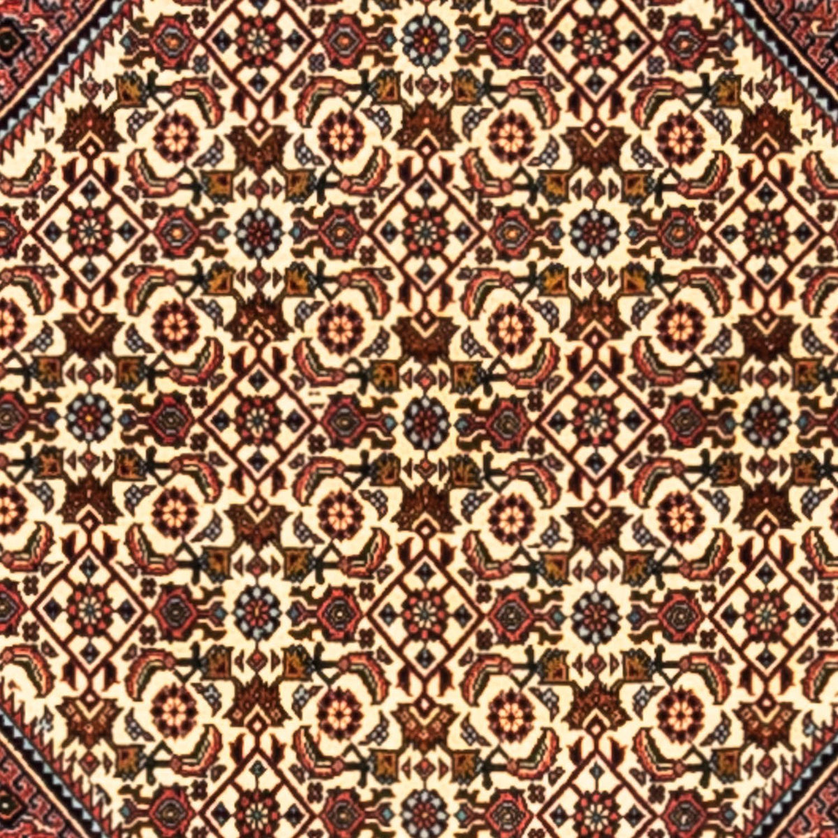 Persisk matta - Bijar - Royal - 291 x 200 cm - röd