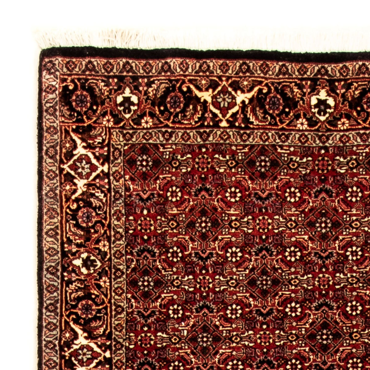 Runner Persisk matta - Bijar - 305 x 86 cm - flerfärgad