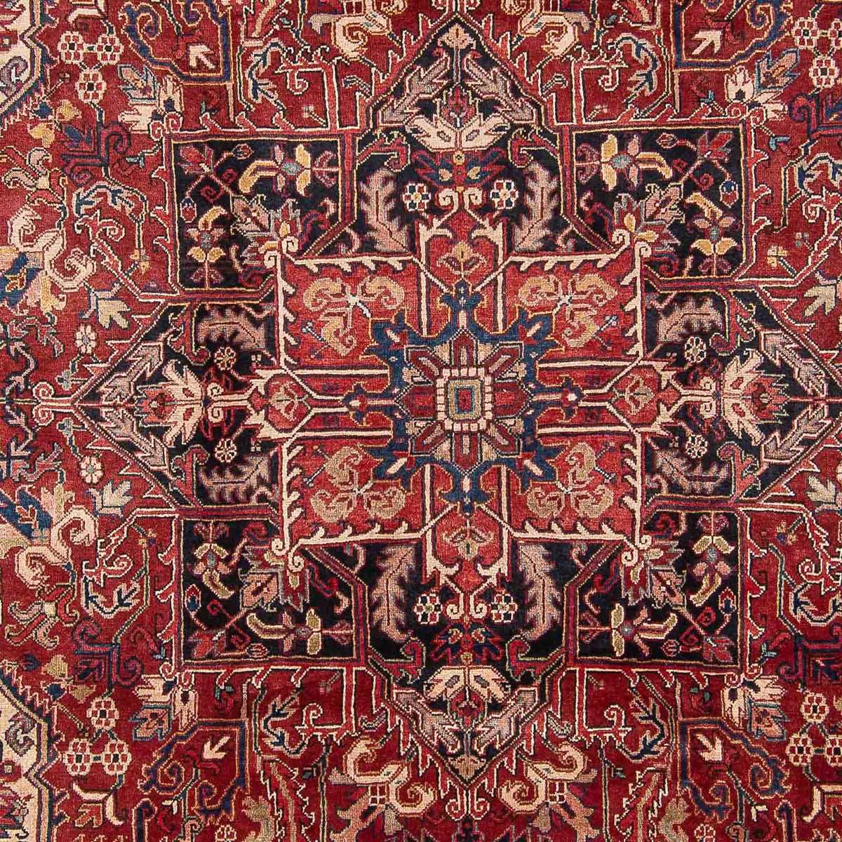 Persisk matta - Nomadic - 325 x 241 cm - rost